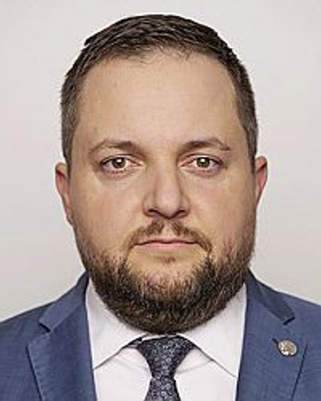 David Štolpa
